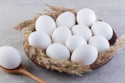 Health Tips: Eating too many eggs in winter can also be dangerous