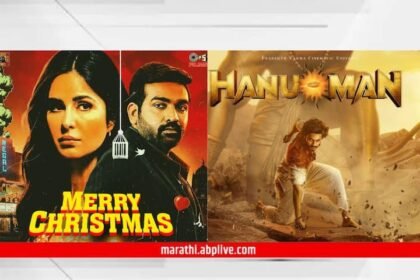 Katrina Kaif Vijay Sethupathi Merry Christmas Teja Sajja Hanuman Know Bollywood Movies Box Office Collection Entertainment Latest Update