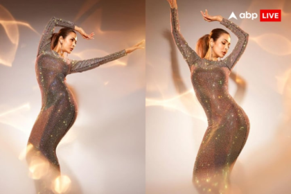 Malaika Arora Pics: Malaika Arora dazzled in net shimmery dress, fans' eyes fixed on her curvy figure.