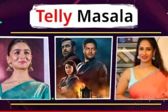 telly masala marathi movie marathi hindi serial movie updates Mirzapur season3 review Marathi Serial YRF Spy Universe Alia Bhat Entertainment Telly Masala: