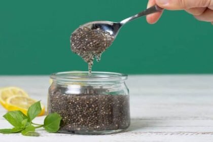 Chia seeds absorb water and contain a lot of fiber कब्ज से हैं परेशान तो खाली पेट पीना शुरू कर दें चिया सीड्स वॉटर, यह है बनाने का सही तरीका